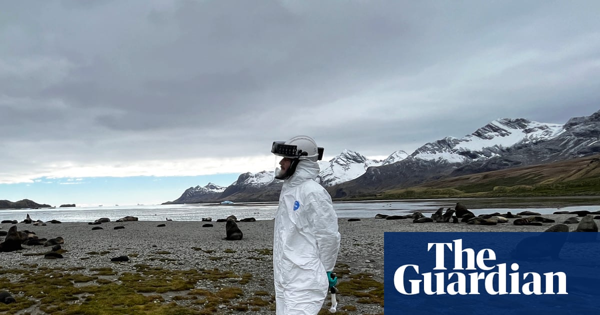 The last continent: how deadly bird flu travelled the world before landing on a remote Australian beach
