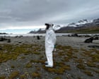The last continent: how deadly bird flu travelled the world before landing on a remote Australian beach