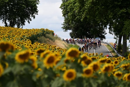 The peloton competes in Carcassonne in 2025