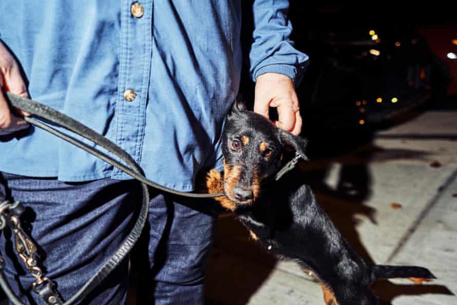 Kim McCormick and her dog, Greta, hunt for rats.