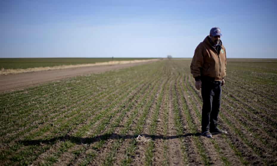 Rod Bradshaw stands in a field of wheat on his farm near Jetmore, Kansas. 