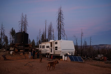 Pink clouds in a twilight blue sky, with a white RV in a dirt patch amid burned trees, with a dog in the foreground.