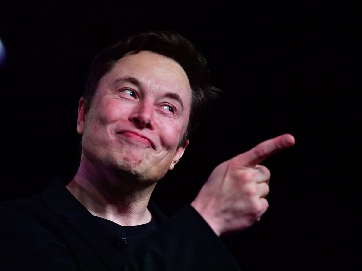 Twitter bans comedian Kathy Griffin for impersonating Elon Musk | Elon Musk | The Guardian