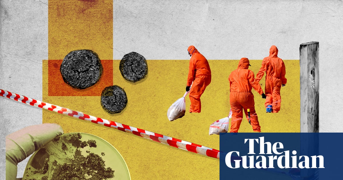 Why does Sydney pump sewage into the ocean and put its famous beaches at risk of poo balls?