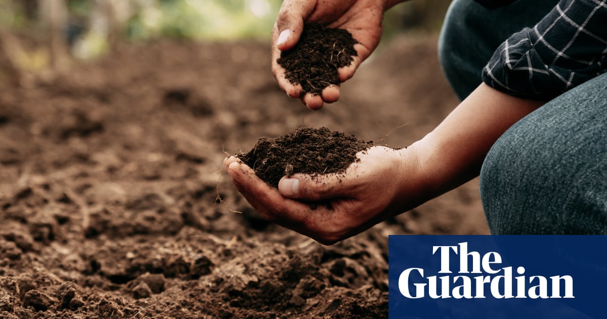 Clay, silty or sandy? Testing your soil type is an essential part of becoming a good gardener