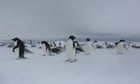 Australia’s decision to scrap Antarctica runway exposes government divisions
