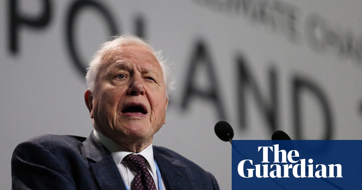 David Attenborough: collapse of civilisation is on the horizon