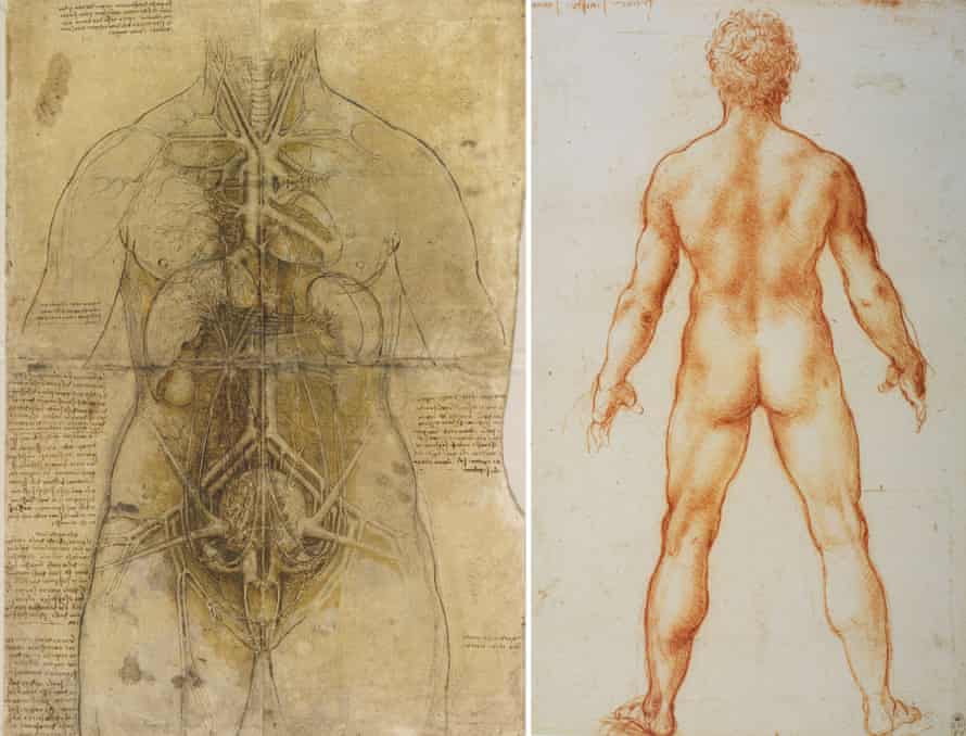 The cardiovascular system and principal organs of a woman; and Study of a male nude from behind, by Leonardo da Vinci.