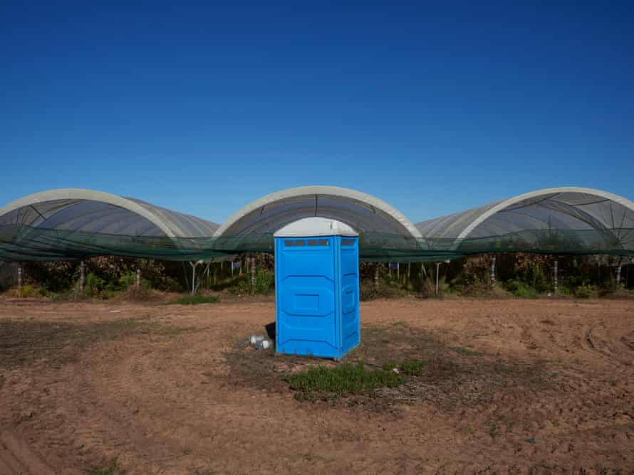 A single portable toilet in a field