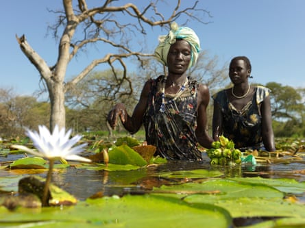 Nyatot Garang and Nyadieng Riok search for water lily bulbs in Paguir