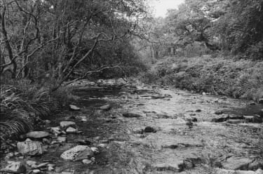 a shallow river, rural setting
