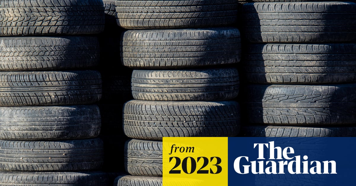 www.theguardian.com