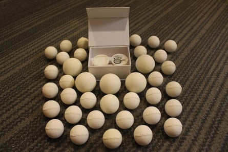 Prototypes of Paso Pacifico’s fake eggs. The small balls on the outside hold the GPS transmitter which will then be fit into the larger shells, forming the inner ring of the photograph.