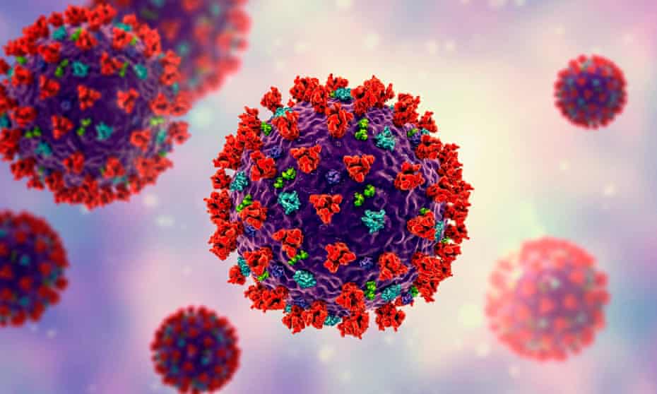 An illustration of coronavirus particles