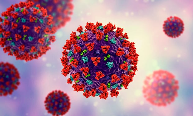 An illustration of coronavirus particles