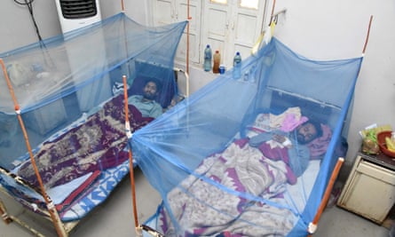 Patients suffering from dengue fever receive medical treatment at an isolation ward at a hospital in Larkana, Pakistan.