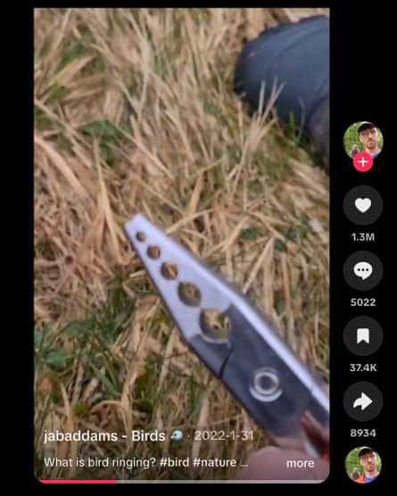 A screen grab of a video showing a man ringing a bird using pliers.