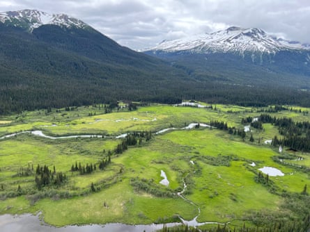 Bright green fields with creeks running through it, next to heavily forested land leading up to snow-capped mountains.