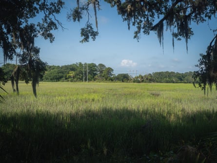 Marshland against a blue sky