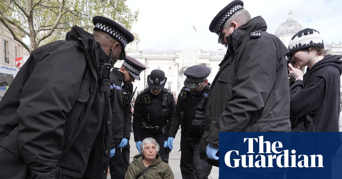 Met police make arrests at London Palestine Action protest