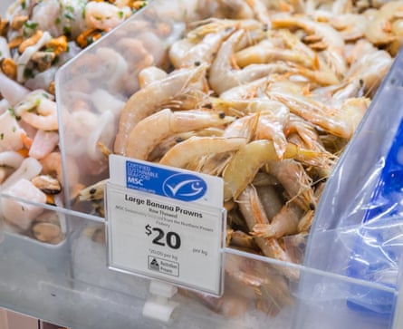 Marine Stewardship Council-certified banana prawns in a supermarket