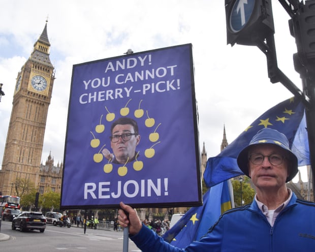 Man holding an anti-Brexit sign at a protest in Westminster.