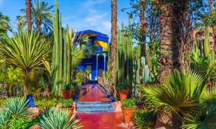 Fashionable: Le Jardin Majorelle, once owned by Yves Saint Laurent.