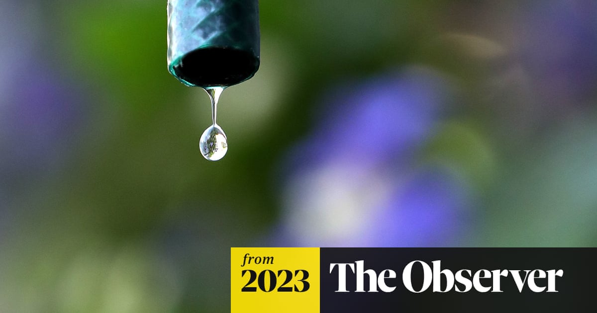 www.theguardian.com