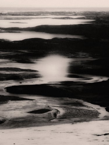 Francisco Gonzalez Camacho, Reverting, Oasis, 2024