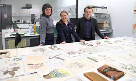 Amber Horning, assistant herbarium curator, Dr Lauren Gardner, curator, and Dr Edwin Rose with a selection of Darwin’s specimens, illustrations and letters.