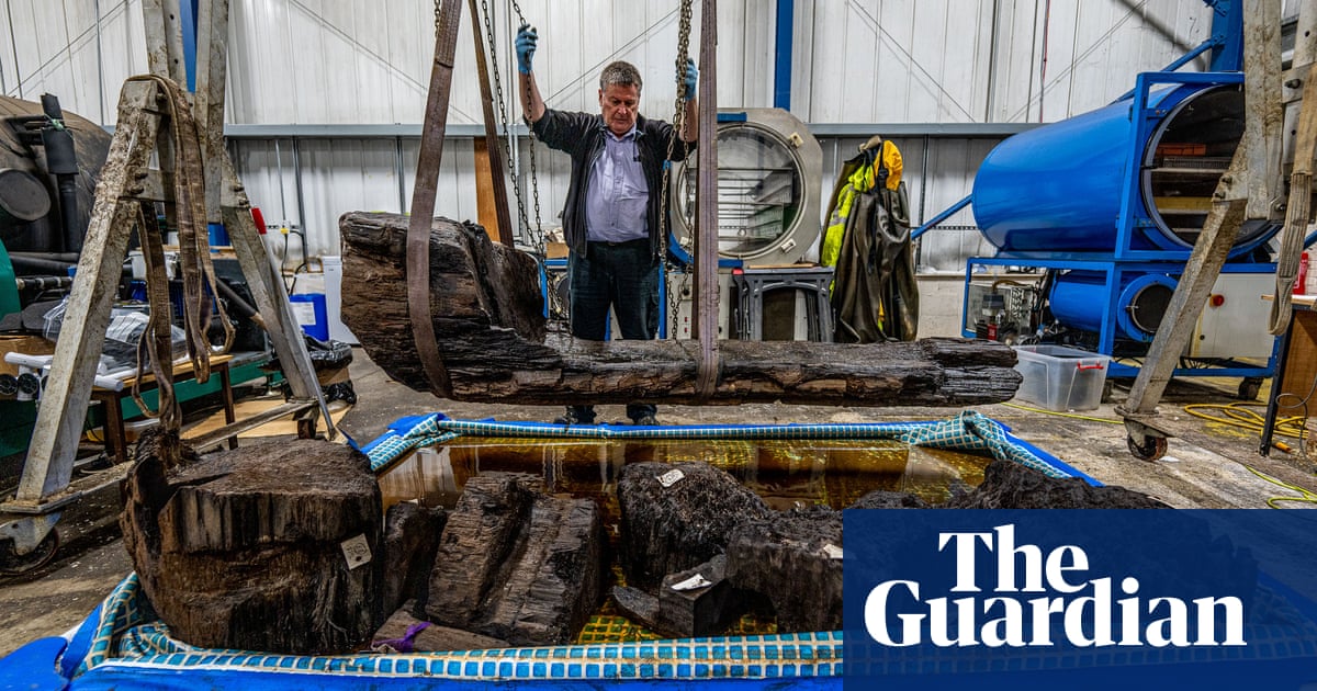 Details of rare bronze age coffin found in golf course pond revealed