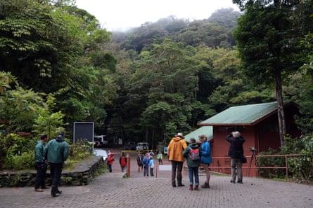Tourists inside the cloud forest