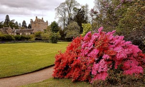 Cawdor castle with red and pink rhododendrons