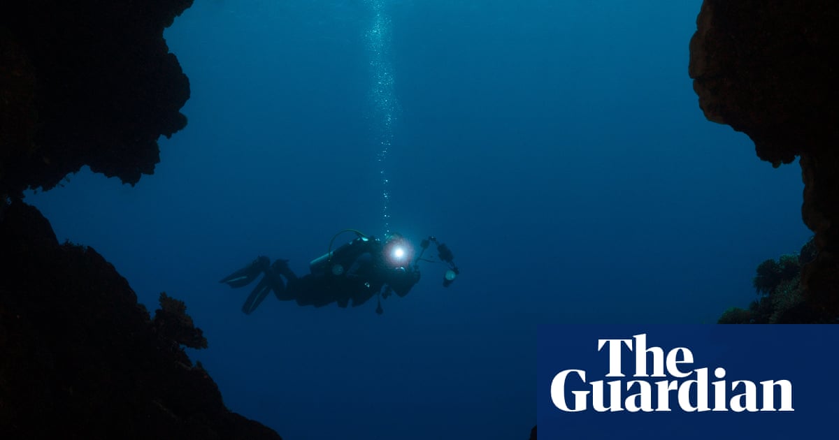 'If something goes wrong, you can't simply surface': Maldives tragedy shines light ... - The Guardian