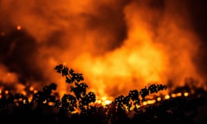 Wildfire flames from the Glass fire near Calistoga, California.
