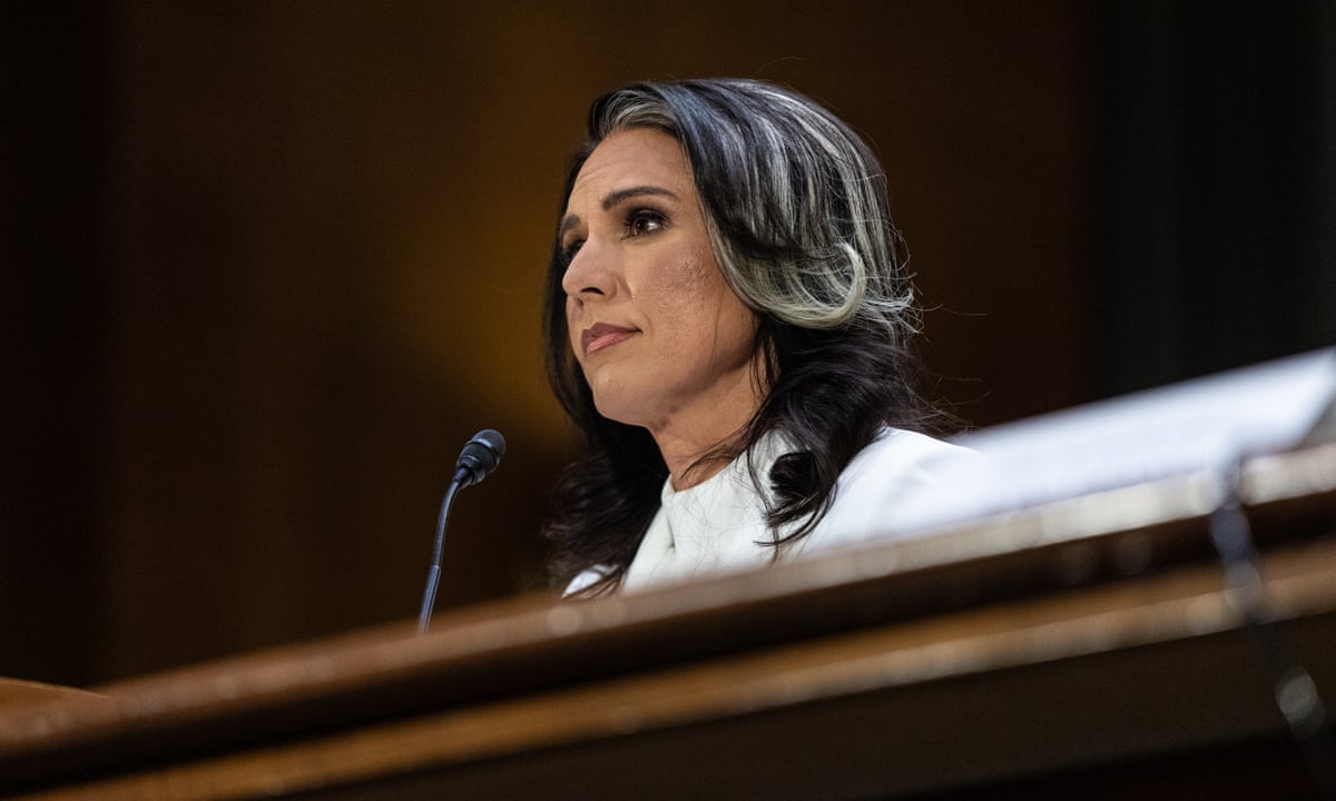 Tulsi Gabbard grilled on Snowden, Assad and Putin in tense Senate hearing | Trump administration | The Guardian