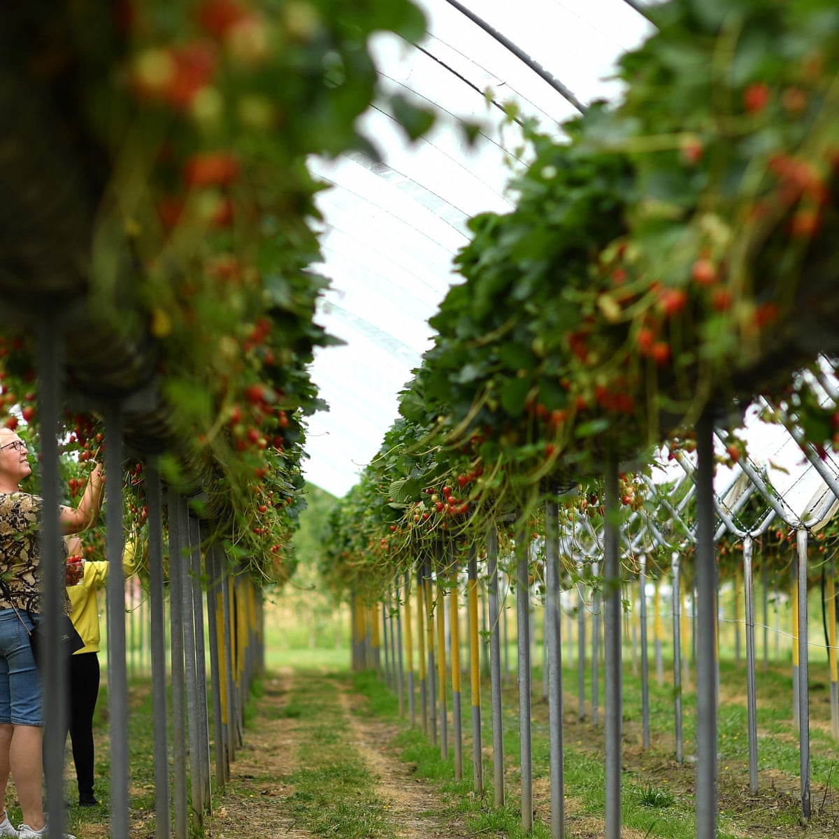 6lvqwh00fziz4m 6lvqwh00fziz4m