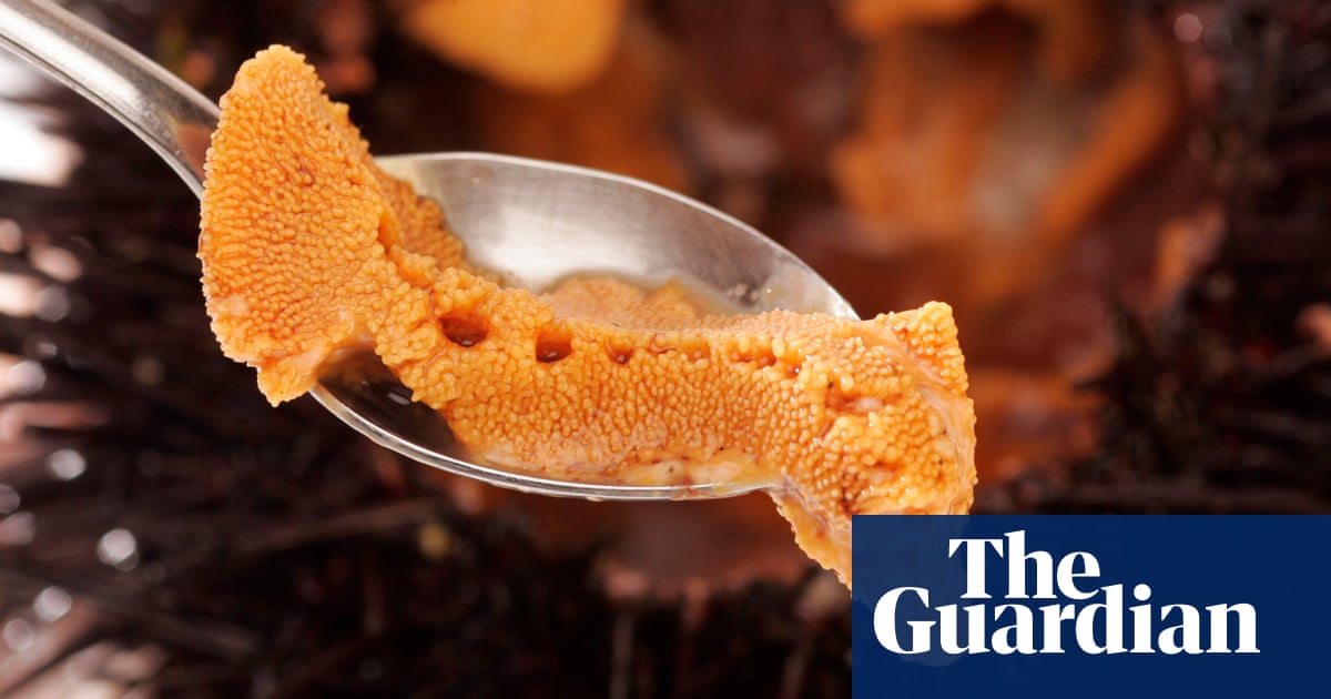 Sea Urchin Is In Demand It S The Ocean S Foie Gras Delicious