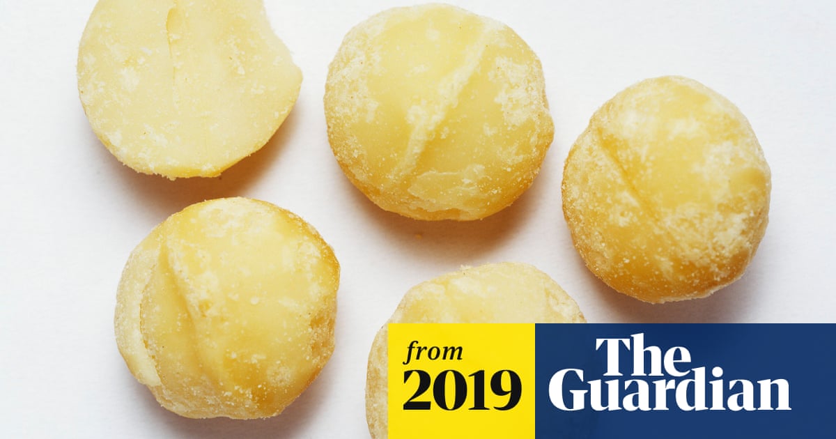 Nut Of Note 70 Of World S Macadamia Can Be Traced Back To Single Australian Tree Science The Guardian