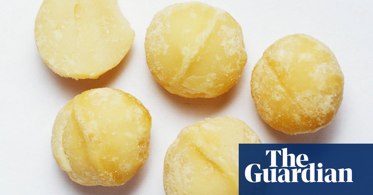Nut Of Note 70 Of World S Macadamia Can Be Traced Back To Single