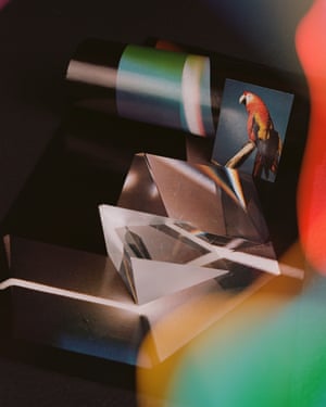 An abstract image of a glass prism with flashes of colour and a small picture of a parrot.