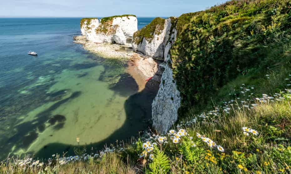 Rock of ages: Old Harry at the end of Studland Bay in Dorset – the foreshore is a forager’s paradise.