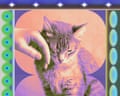 A hand stroking a tabby cat surrounded by a colorful patterned border