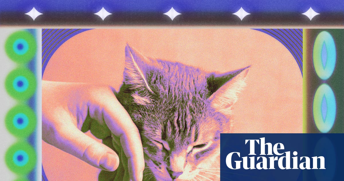 Foto: Förhandsbild från källan: The Guardian