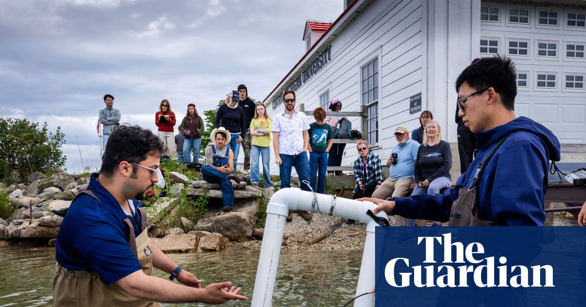 Experimental bathtub: the remote lake island trying wave power to boost energy security