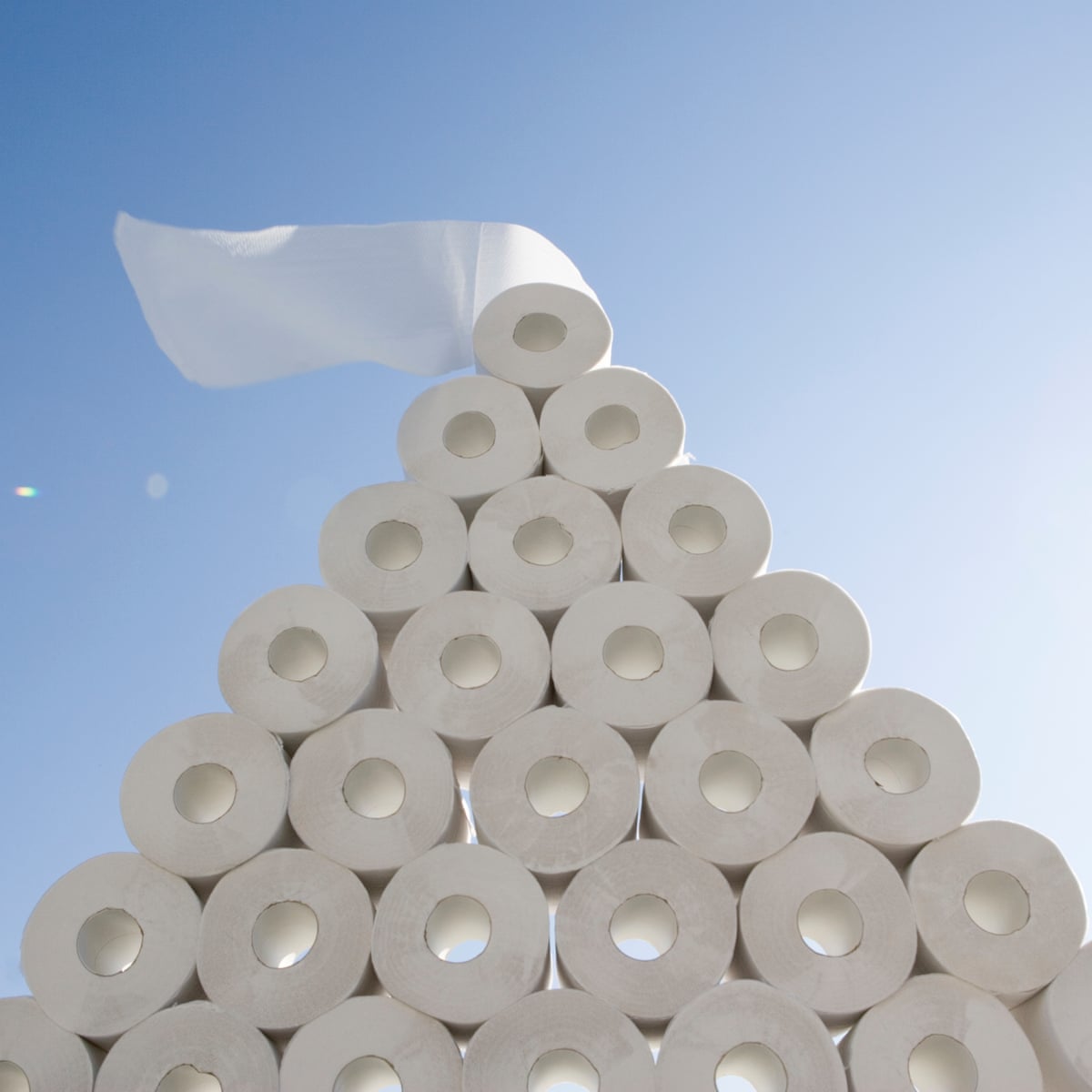 Need 1 200 Rolls Of Toilet Paper Try The Us Embassy S Online Auction Us News The Guardian