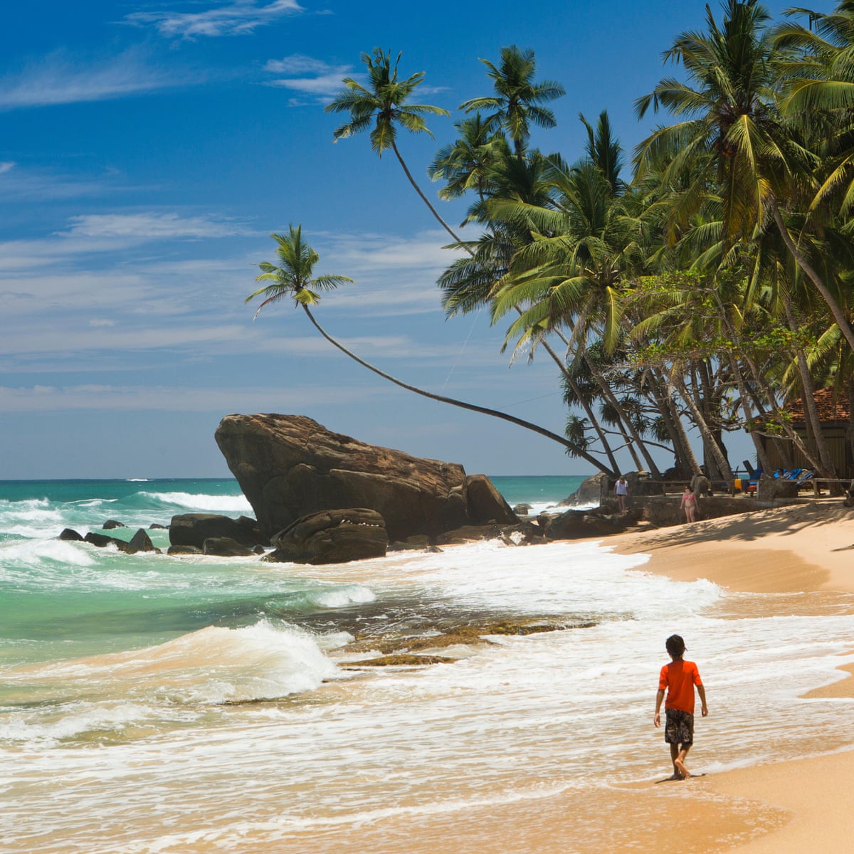 Sri Lanka Bombings Three Months On Tourism Workers Tell Their Stories Travel The Guardian