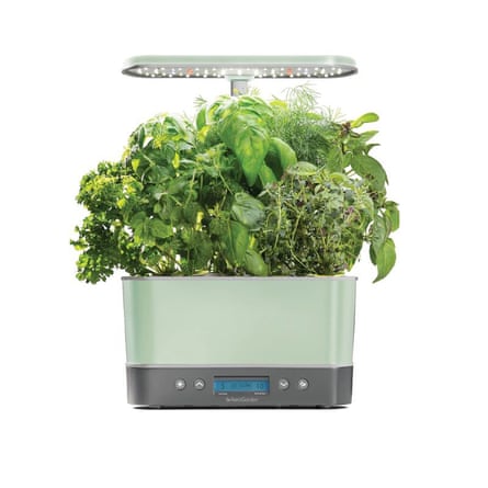 green plants in a container with a screen