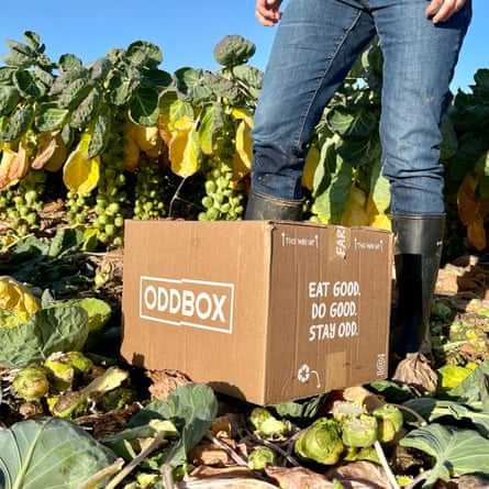 Oddbox subscription service