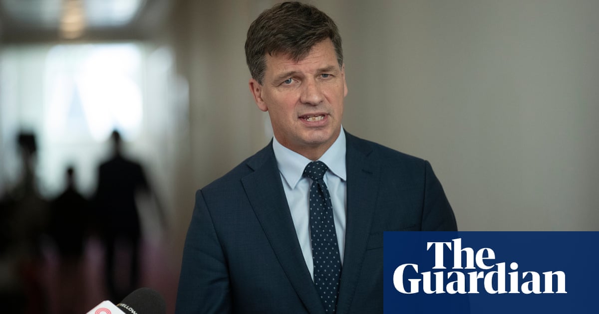 Labor accuses Angus Taylor of ‘desperate’ climate scare campaign over energy claims